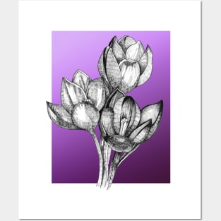 Ink - Crocus Variation 1 Posters and Art